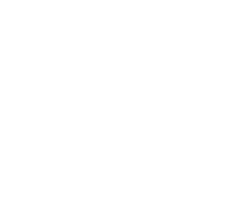 burger-king-primary-logo-2