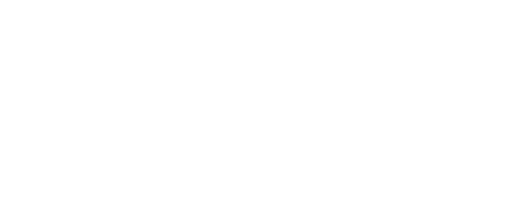 white-bims-logo